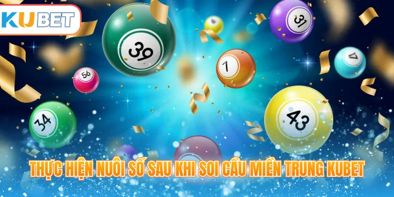 Thực hiện nuôi số sau khi soi cầu miền Trung Kubet